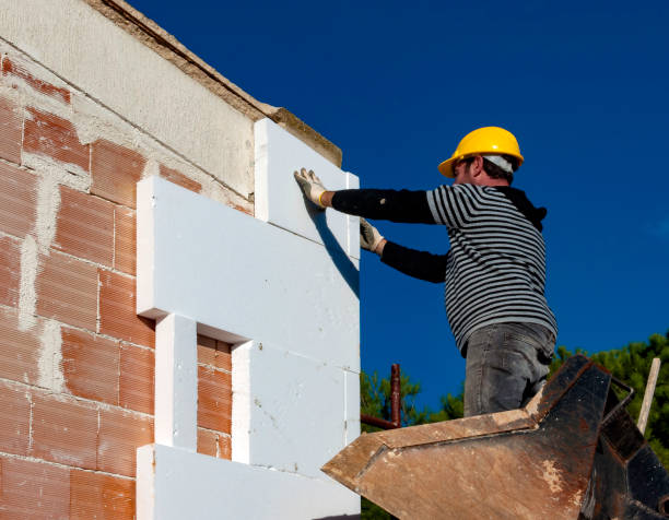 Best Cellulose Insulation in Timberlane, IL