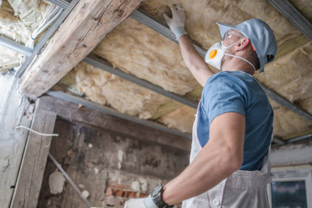Types of Insulation We Offer in Timberlane, IL