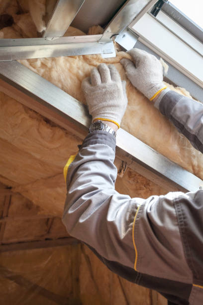 Best Spray Foam Insulation in Timberlane, IL