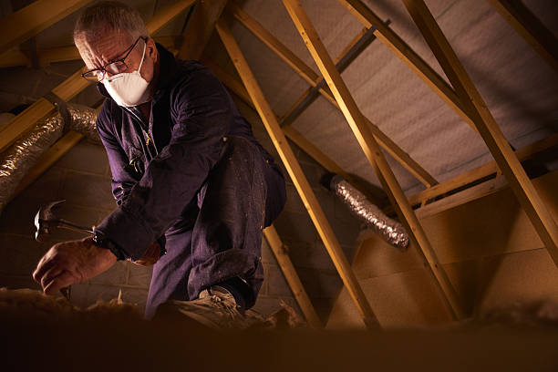 Best DIY Insulation Kits and Guidance in Timberlane, IL