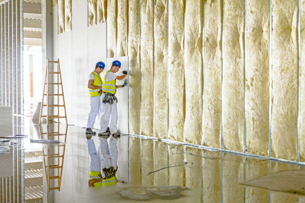 Best Residential Insulation in Timberlane, IL